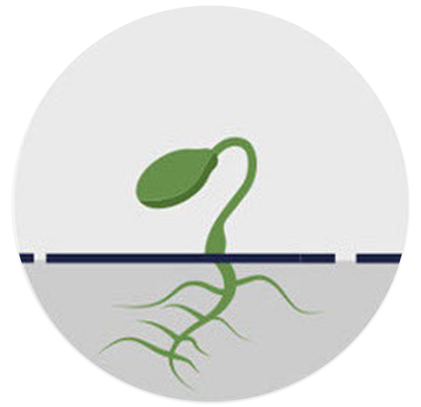 Nurturing Growth