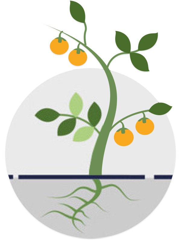 Fruitful Times